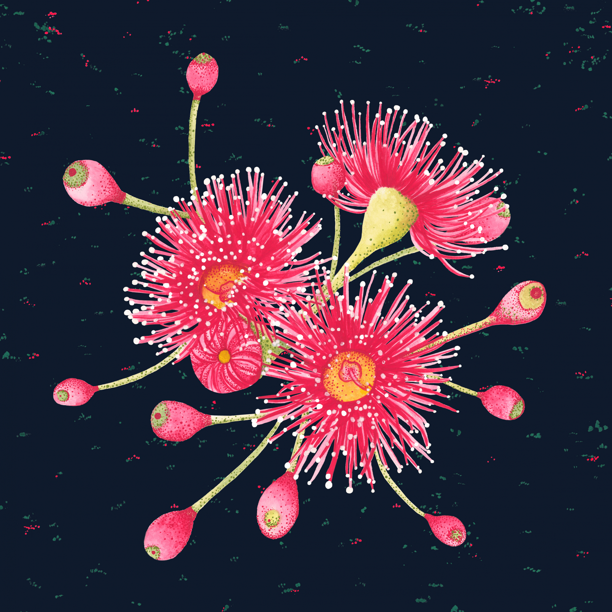 Australian Gum Floral