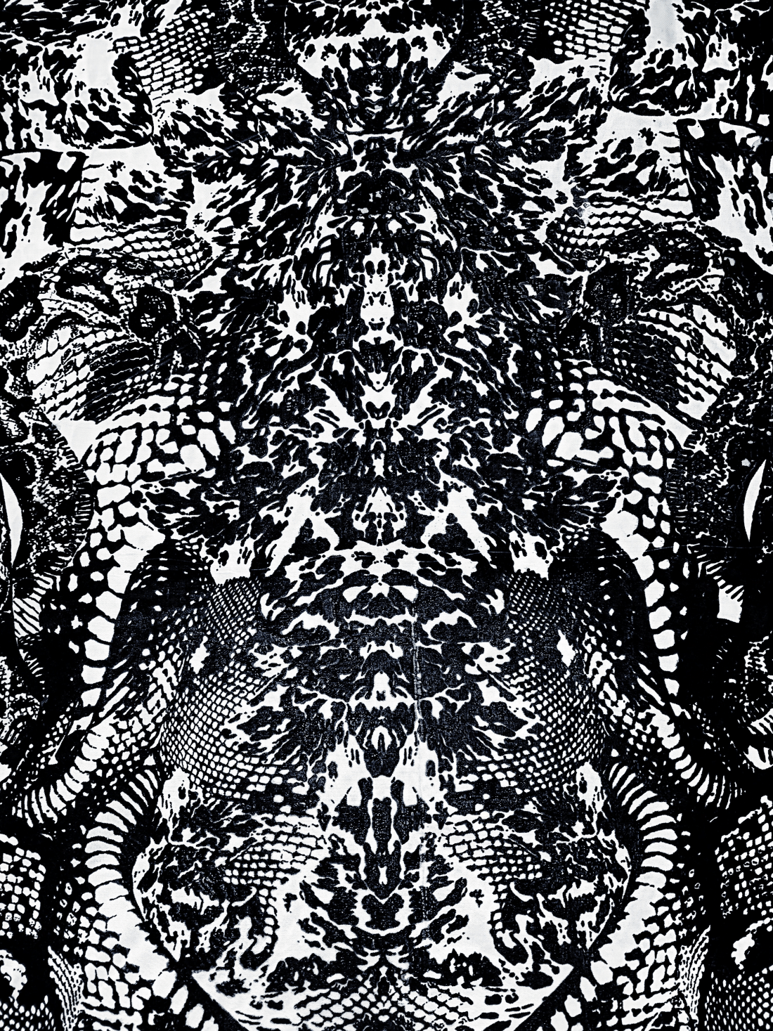 Snake & Tortoise Mirrored Print