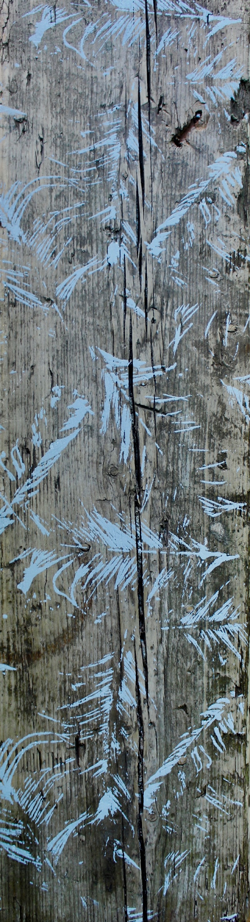 Weathered feathers